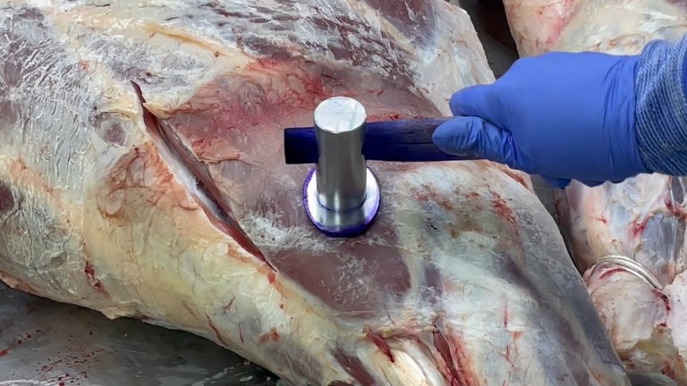 Иркутяне опасаются покупать говядину и молочные продукты из-за эпидемии узелкового дерматита у животных